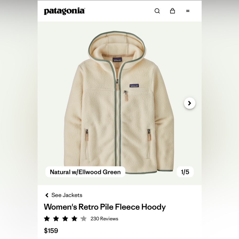 Patagonia Cream Fleece Hoodie with Green Trim